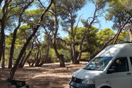 VW T5 Transporter 196.000 km 29.490 &euro; Greifswald 17489