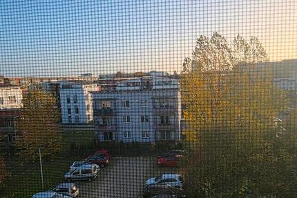 Wohnung Greifswald Groß Schönwalde - 1 Zimmer, 29 m&sup2;, 380&euro; | Angebot:27718583