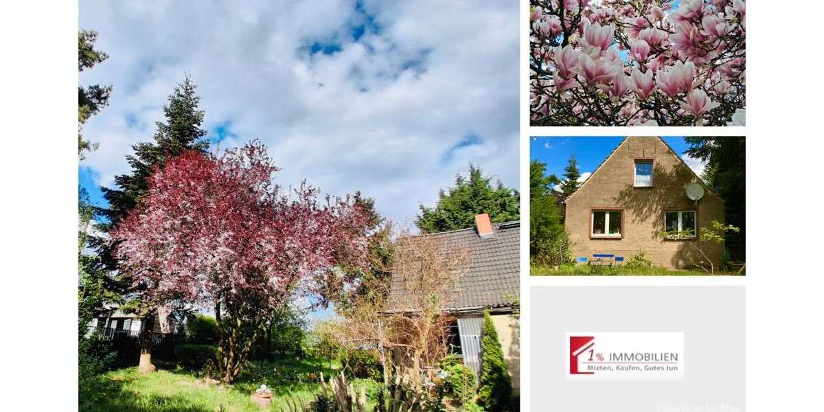 Einfamilienhaus Gribow - 9 Zimmer, 205 m&sup2;, 209.000&euro; | Angebot:24089202