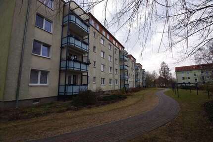 Wohnung Greifswald Ostseeviertel (Parkseite) - 2 Zimmer, 48 m&sup2;, 382&euro; | Angebot:26116856