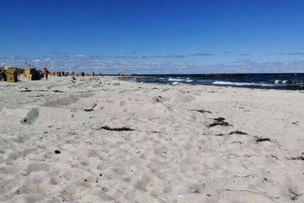 Auf der Sonneninsel Usedom haben wir Ihr das passende Bau-Grundstück, für Ihr neues Leben mit Ostsee-Strand + Segeln + Golfen - Grundstück Peenemünde | Angebot:26086140