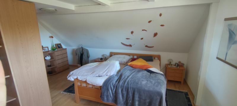 ObjNr:19725 - Hochwertig Saniertes Anwesen für Pferdeliebhaber oder Reitsportfreunde; Feriennutzung möglich - Bauernhaus, Landhaus Loitz | Angebot:21580639