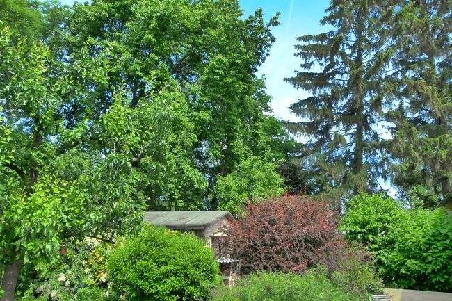 Doppelhaushälfte Gustow Nesebanz - 6 Zimmer, 198 m&sup2;, 455.000&euro; | Angebot:25670237