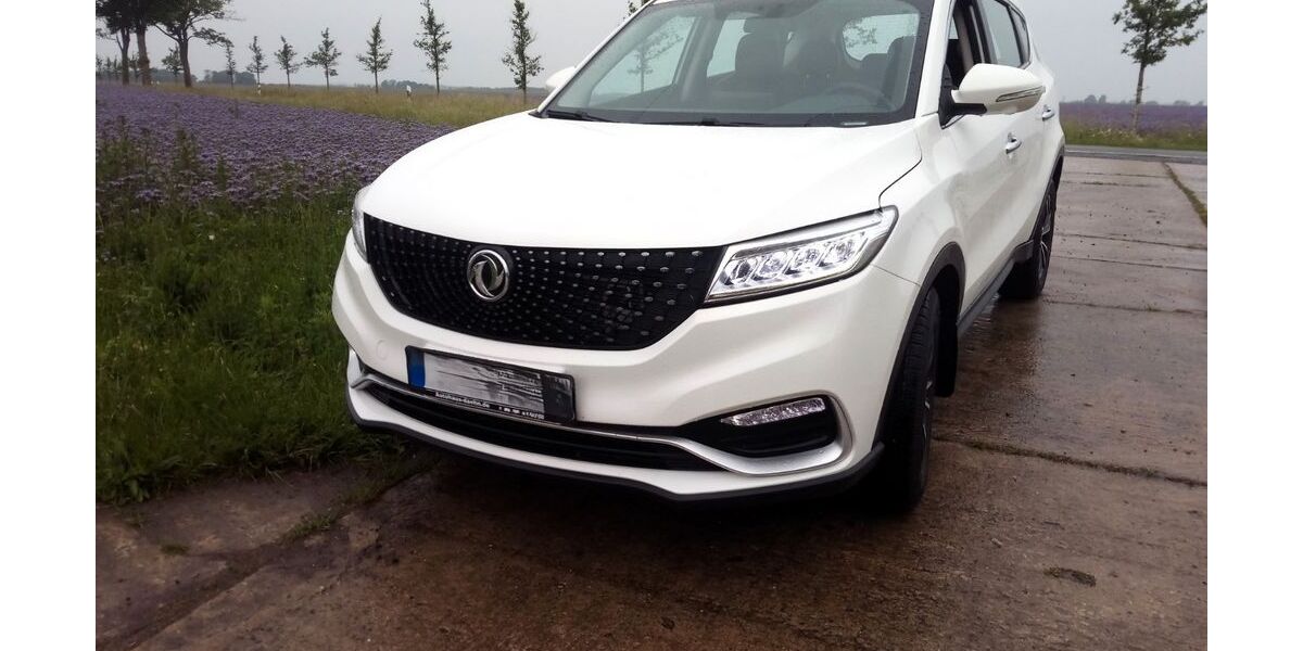 DFSK Fengon 580 3.000 km 18.999 &euro; Samtens 18573