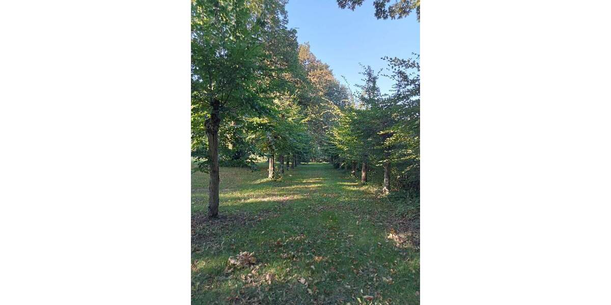 Gewerbeobjekt Ranzin Ranzin - 3 Zimmer, 1.500.000&euro; | Angebot:25700070