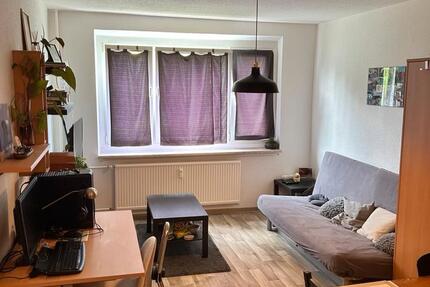 Wohnung Greifswald Groß Schönwalde - 1 Zimmer, 27 m&sup2;, 320&euro; | Angebot:26662631