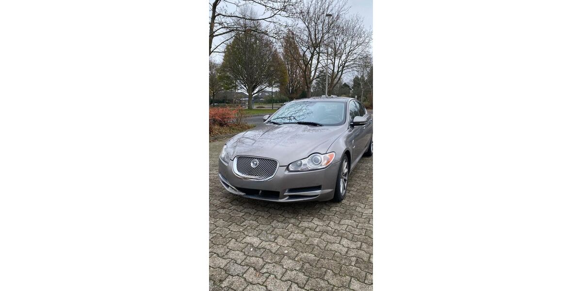 Jaguar XF 211.000 km 7.000 &euro; Splietsdorf 18513