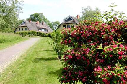 Wohnung Poseritz Puddemin - 4 Zimmer, 81 m&sup2;, 329.000&euro; | Angebot:25455316