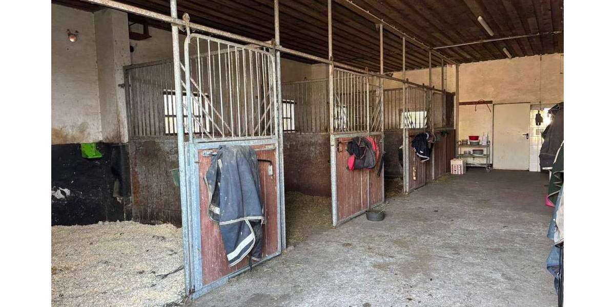 Einfamilienhaus Weitenhagen Helmshagen II - 6 Zimmer, 215 m&sup2;, 649.000&euro; | Angebot:25747576