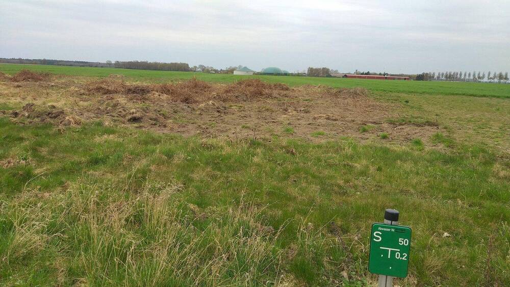 Grundstück Poggendorf Poggendorf - 77.500&euro; | Angebot:26170963