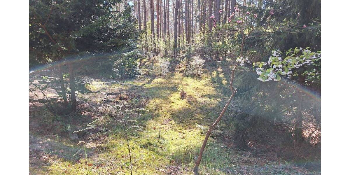 Grundstück Lubmin - 450.000&euro; | Angebot:26702673