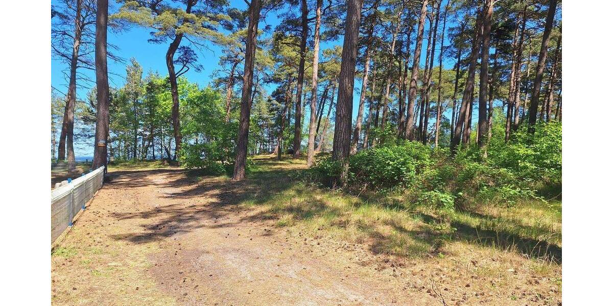 Doppelhaushälfte Lubmin - 8 Zimmer, 246 m&sup2;, 695.000&euro; | Angebot:25796644