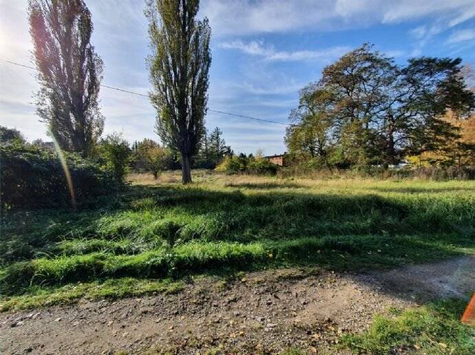 Einfamilienhaus Sundhagen Bremerhagen - 4 Zimmer, 121 m&sup2;, 321.400&euro; | Angebot:25676952