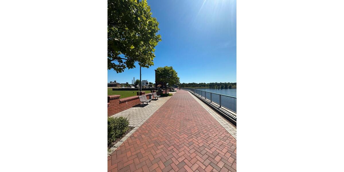 Loft - Studio - Atelier Greifswald - 2 Zimmer, 36 m&sup2;, 1.200&euro; | Angebot:20124450