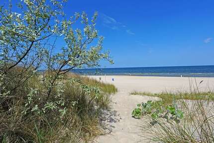 Haus Trassenheide / Bannemin Bannemin - 9 Zimmer, 340 m&sup2;, 1.350.000&euro; | Angebot:24210513