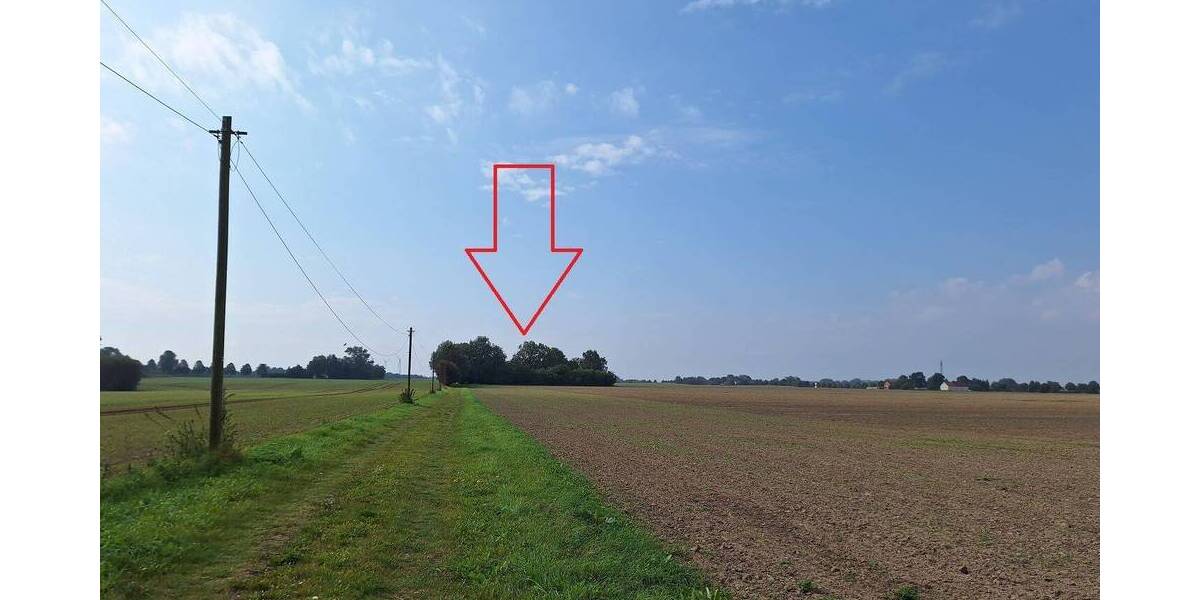 Einfamilienhaus Süderholz-Neuendorf Neuendorf - 4 Zimmer, 79 m&sup2;, 198.000&euro; | Angebot:25727432