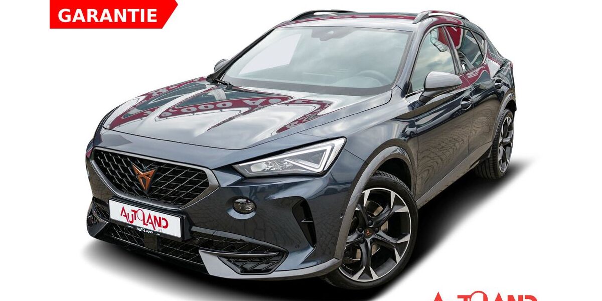Cupra Formentor 68.996 km 28.950 &euro; Greifswald 17489