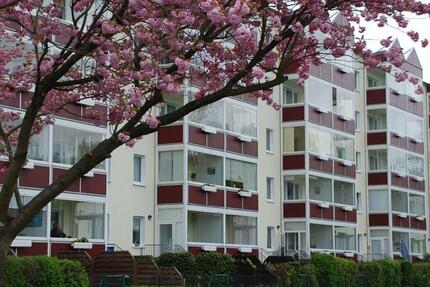 Wohnung Grimmen - 2.5 Zimmer, 61 m&sup2;, 449&euro; | Angebot:23870359