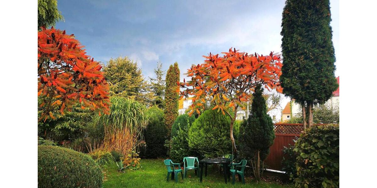 Etagenwohnung Greifswald - 3 Zimmer, 69 m&sup2;, 690&euro; | Angebot:25321676