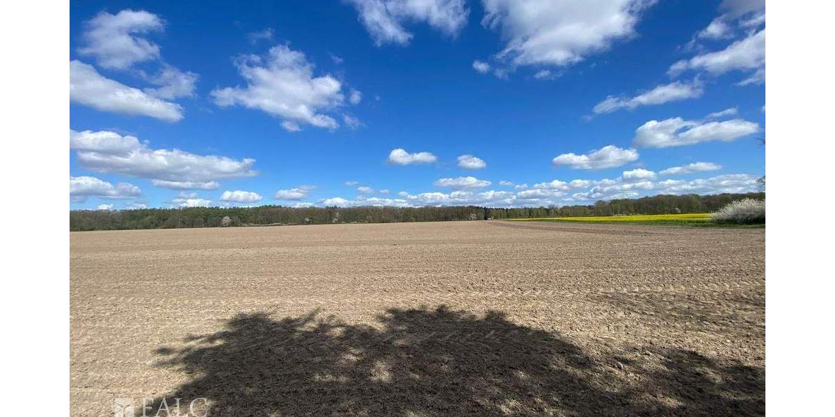 Einfamilienhaus Splietsdorf - 7 Zimmer, 220 m&sup2;, 330.000&euro; | Angebot:25668637