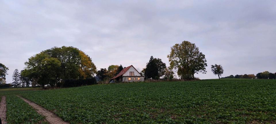 Mehrfamilienhaus, Wohnhaus Garz/Rügen Rügen - 450.000&euro; | Angebot:24803885