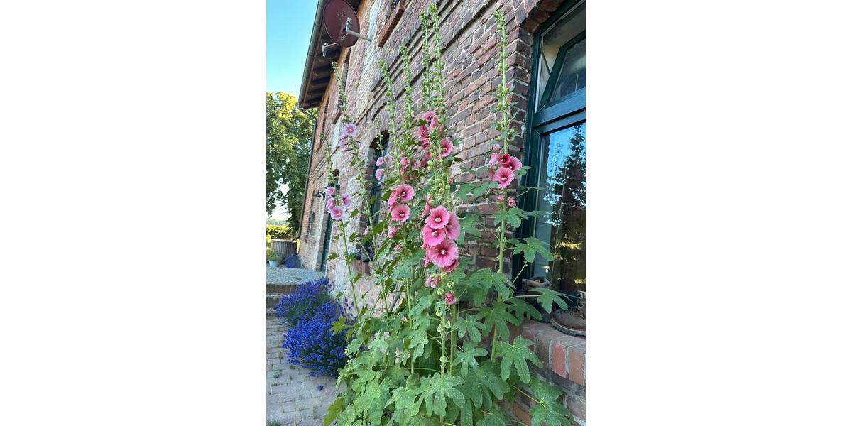 Einfamilienhaus Jarmen - 5 Zimmer, 180 m&sup2;, 440.000&euro; | Angebot:25268670