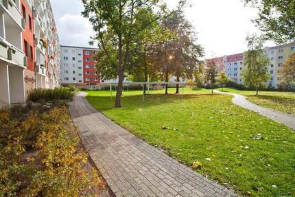 Wohnung Greifswald Groß Schönwalde - 3 Zimmer, 58 m&sup2;, 428&euro; | Angebot:26177774