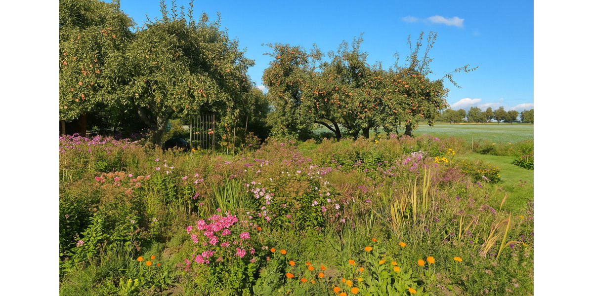 Einfamilienhaus Loitz - 230.000&euro; | Angebot:25934052