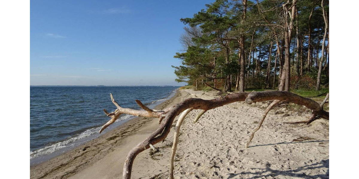 Doppelhaushälfte Garz/Rügen Losentitz - 5 Zimmer, 120 m&sup2;, 298.000&euro; | Angebot:25970034