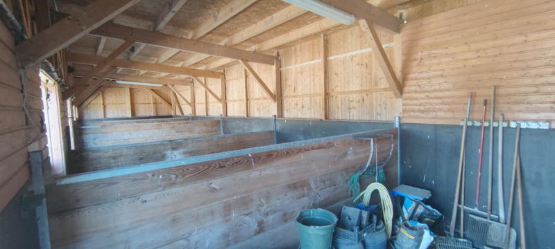 ObjNr:19725 - Hochwertig Saniertes Anwesen für Pferdeliebhaber oder Reitsportfreunde; Feriennutzung möglich - Bauernhaus, Landhaus Loitz | Angebot:21580639