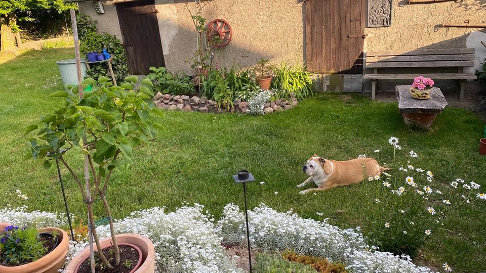 Doppelhaushälfte Wittenhagen - 260.000&euro; | Angebot:25173583