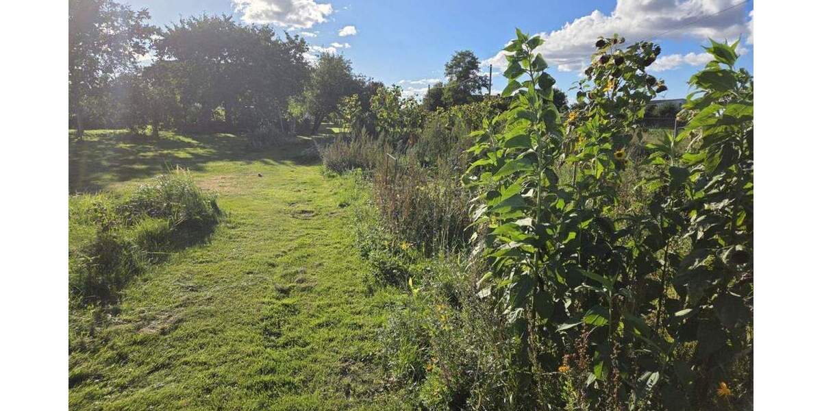 Einfamilienhaus Völschow Jagetzow - 6 Zimmer, 169 m&sup2;, 215.000&euro; | Angebot:25731315