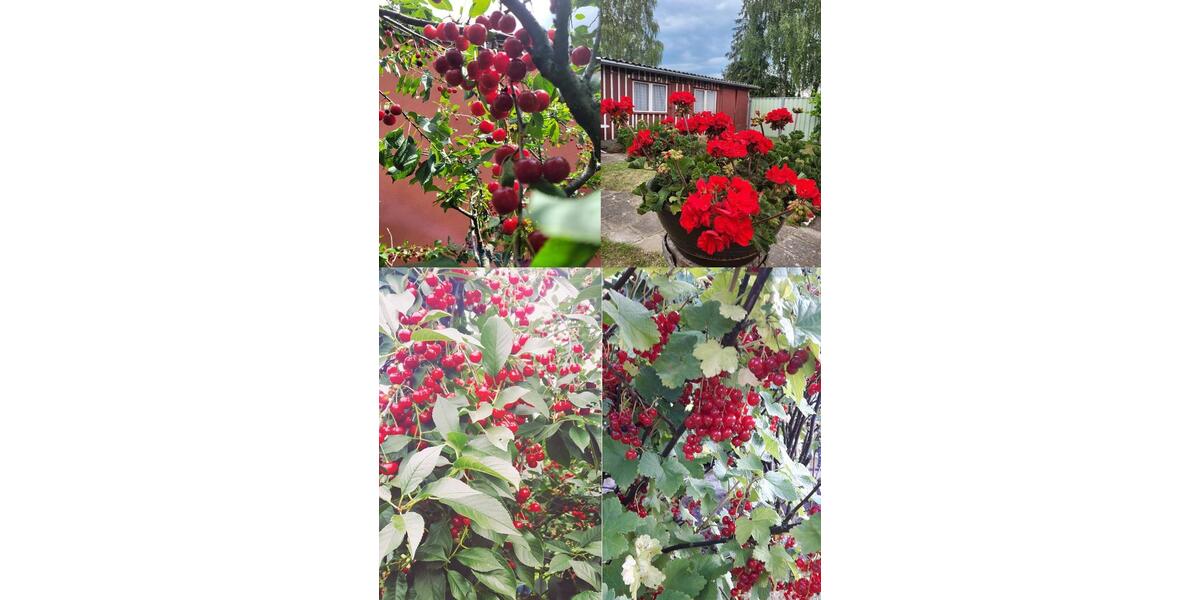 Mehrfamilienhaus, Wohnhaus Loitz - 9 Zimmer, 193 m&sup2;, 179.000&euro; | Angebot:22282721