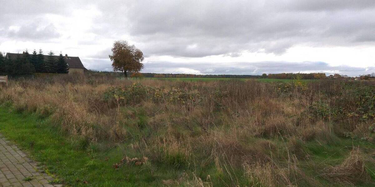 Grundstück Poggendorf Poggendorf - 77.500&euro; | Angebot:26170963