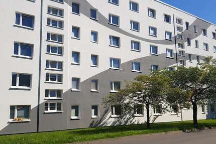 Wohnung Greifswald Groß Schönwalde - 1 Zimmer, 19 m&sup2;, 175&euro; | Angebot:25525804