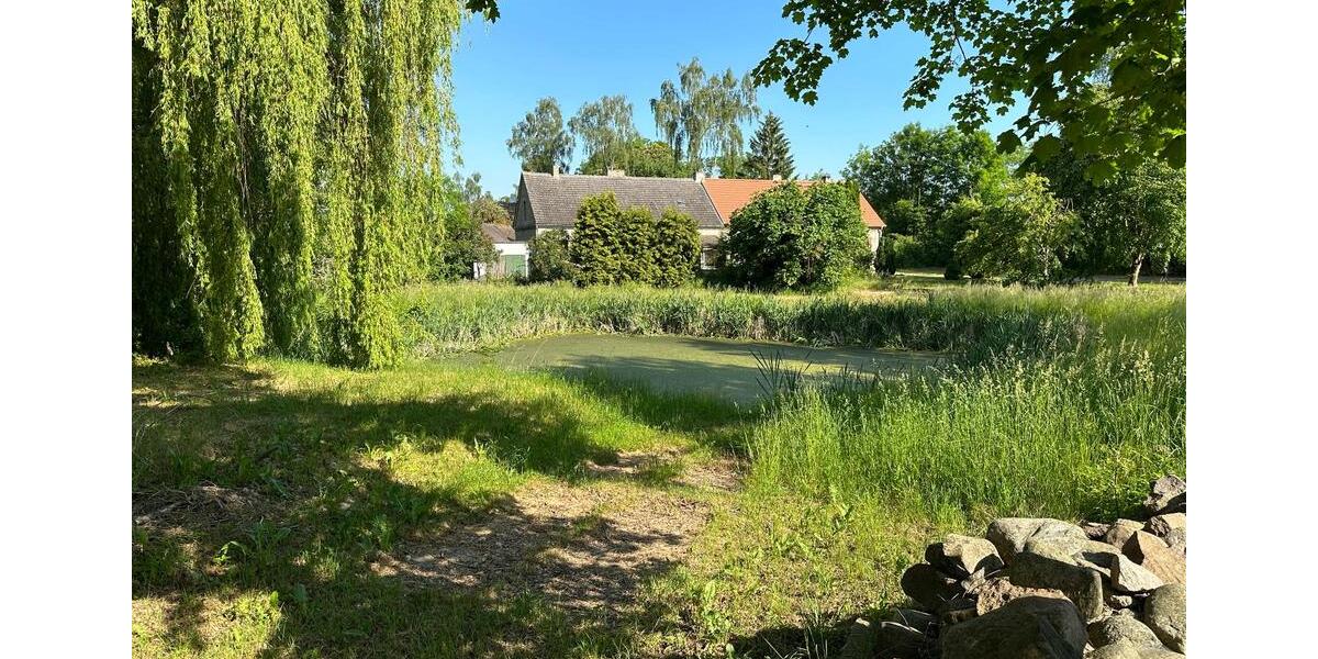 Einfamilienhaus Neetzow-Liepen Liepen - 4 Zimmer, 90 m&sup2;, 95.000&euro; | Angebot:26227120