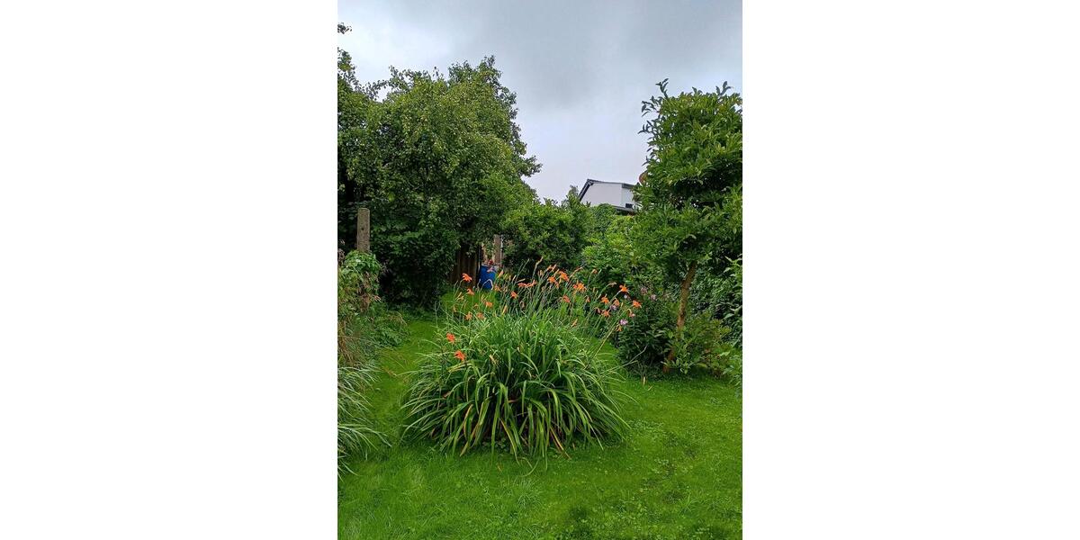 Doppelhaushälfte Grimmen - 5 Zimmer, 115 m&sup2;, 65.000&euro; | Angebot:25231640