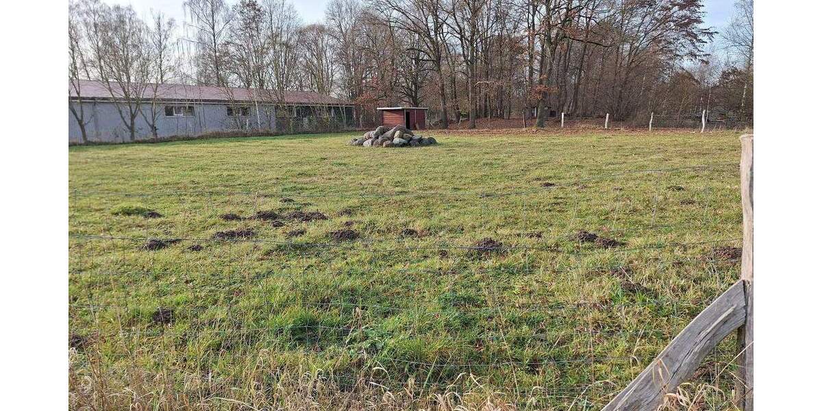 Einfamilienhaus Greifswald Ladebow - 7 Zimmer, 272 m&sup2;, 1.480.000&euro; | Angebot:25727427