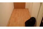 Erdgeschoßwohnung Greifswald - 1 Zimmer, 31 m&sup2;, 350&euro; | Angebot:26698370