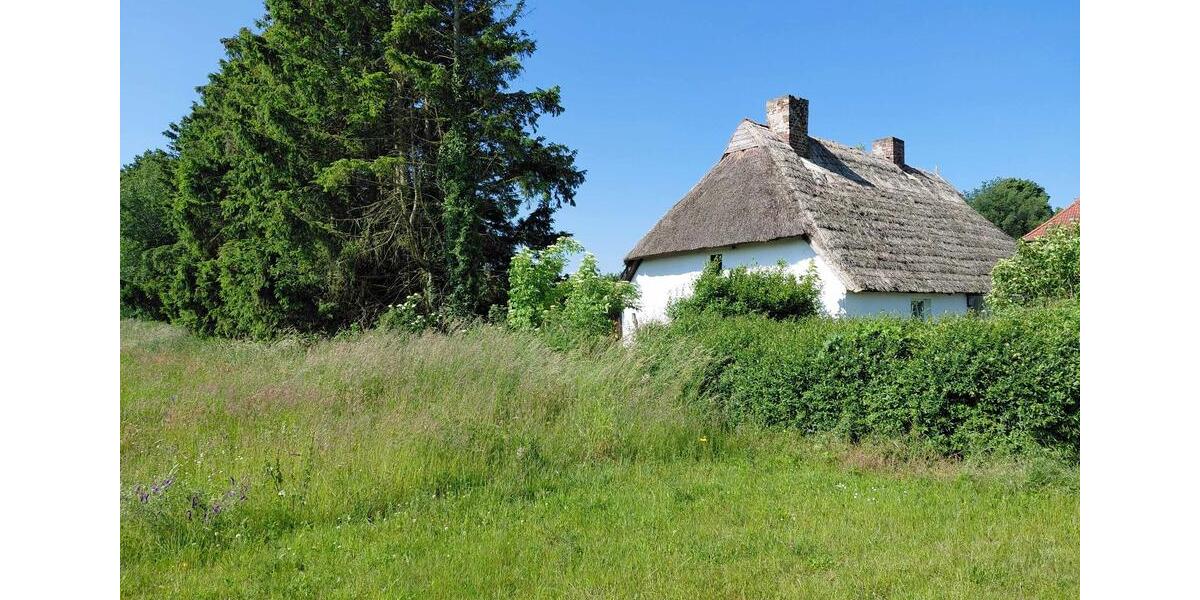 Bauernhaus, Landhaus Wittenhagen - 5 Zimmer, 100 m&sup2;, 140.000&euro; | Angebot:26070730
