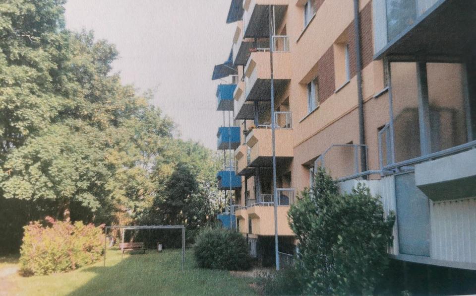 Etagenwohnung Greifswald - 3 Zimmer, 59 m&sup2;, 765&euro; | Angebot:26004174