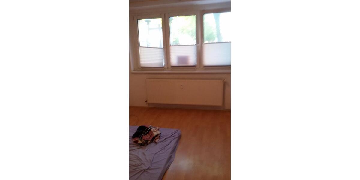 Erdgeschoßwohnung Greifswald - 1 Zimmer, 31 m&sup2;, 350&euro; | Angebot:26698370
