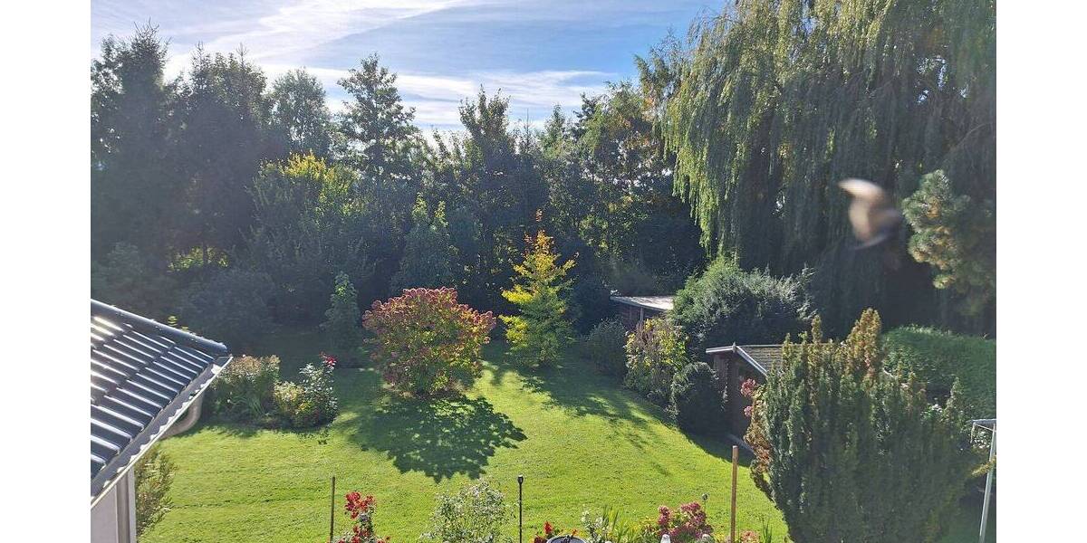 Einfamilienhaus Greifswald Fettenvorstadt - 6 Zimmer, 218 m&sup2;, 938.000&euro; | Angebot:26388334