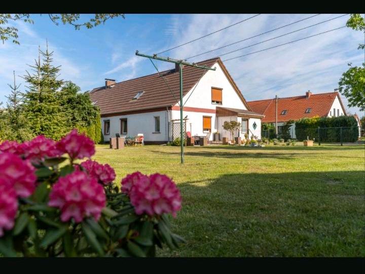 Doppelhaushälfte Neetzow-Liepen Liepen - 5 Zimmer, 168 m&sup2;, 170.000&euro; | Angebot:25824483