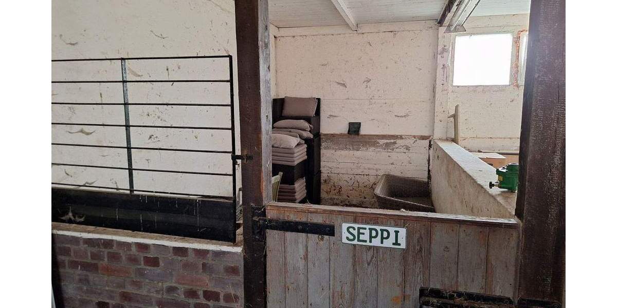 Einfamilienhaus Greifswald Ladebow - 7 Zimmer, 272 m&sup2;, 975.000&euro; | Angebot:25664128