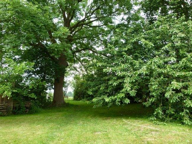 Doppelhaushälfte Gustow-OT Nesebanz Neparmitz - 6 Zimmer, 198 m&sup2;, 455.000&euro; | Angebot:25670237