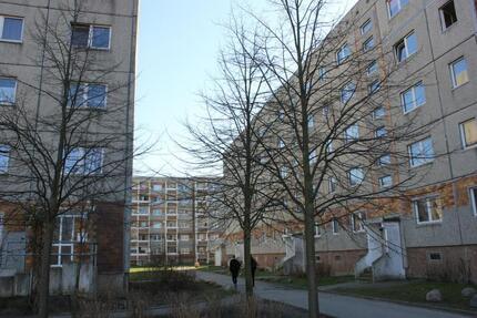 Wohnung Greifswald Eldena - 2 Zimmer, 59 m&sup2;, 500&euro; | Angebot:26044351