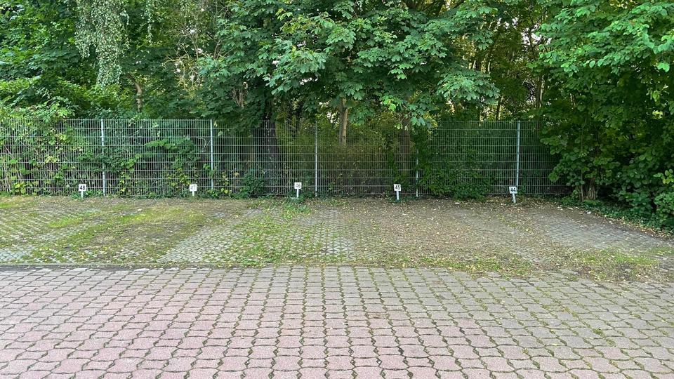 Dachgeschoßwohnung Greifswald - 2 Zimmer, 46 m&sup2;, 486&euro; | Angebot:25475745