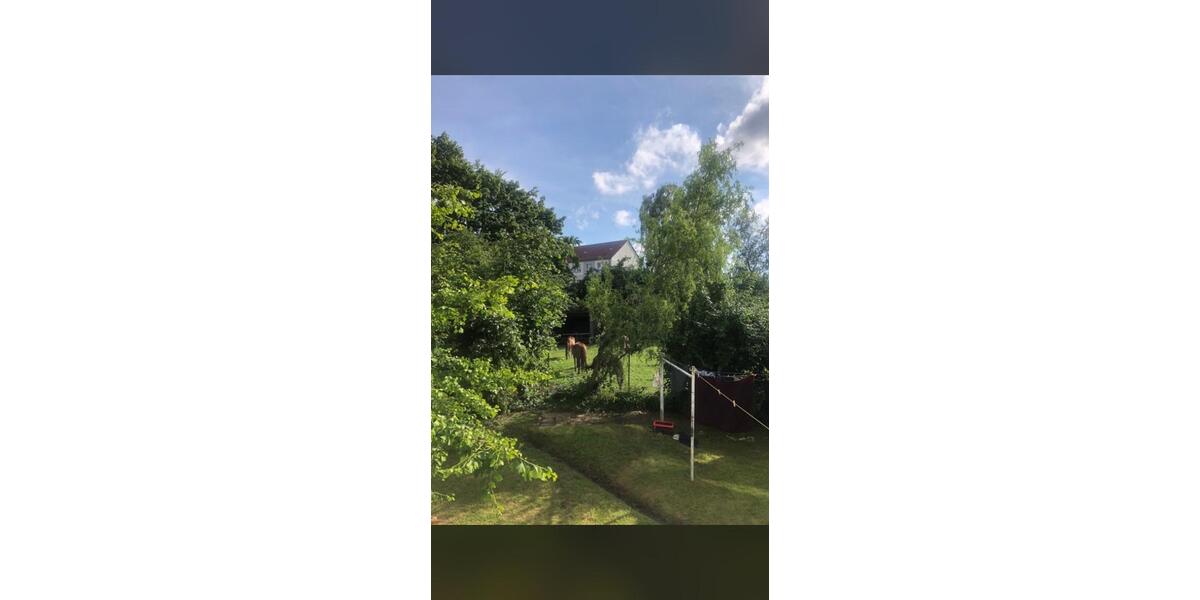 Hochparterre Greifswald - 2 Zimmer, 52 m&sup2;, 585&euro; | Angebot:25917879