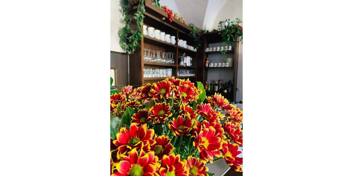 Gewerbeobjekt Wolgast - 1 Zimmer, 340.000&euro; | Angebot:25664472